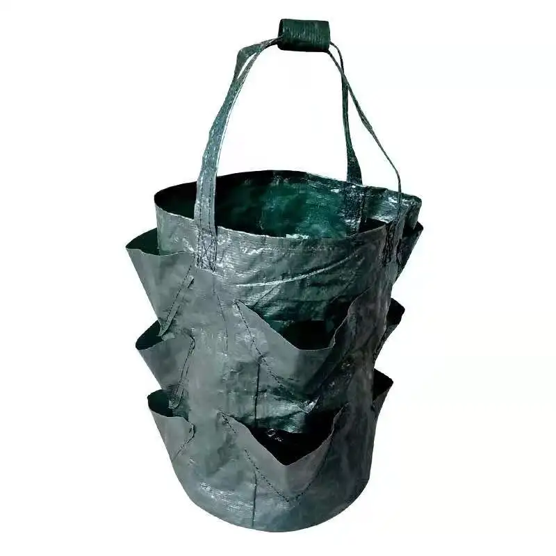 PE hanging strawberry bag