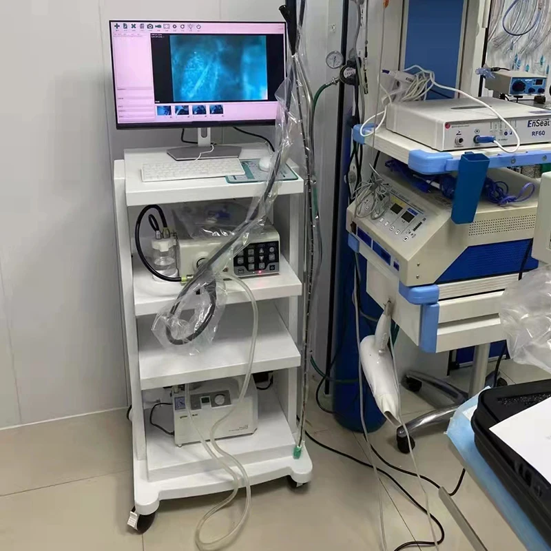 Cheap Price Hospital Medical Video Gastroscope Veterinary Endoscope Camera System Therapeutic Endoscopic Suturing System