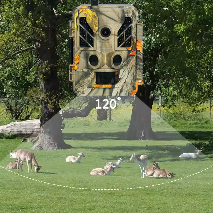 2.4Inch TFT Outdoor Wildlife Hunting Camera Waterproof Trail Camera Night Vision CMOS Sensor SD Memory Card