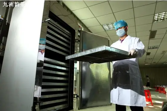 AIM Energy Saving Heat Pump SS 304 Automatic Ozone Room Type Plum Prunes Blueberry Dryer Drying Machine Equipment Dehydrator