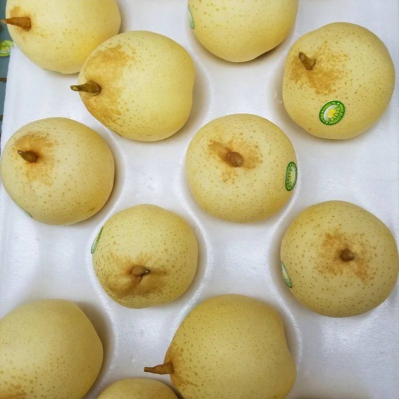 
High quality fresh fruit sweet nutrition ya pear 