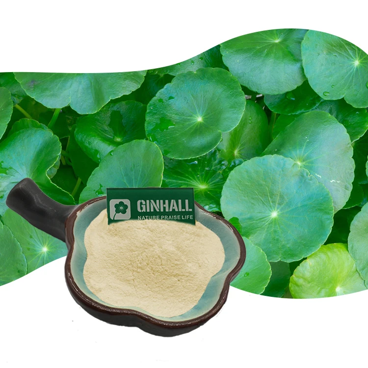 Bulk price hydrocotyle asiatica extract/centella asiatica extract /gotu Kola extract powder 90% asiatic acid