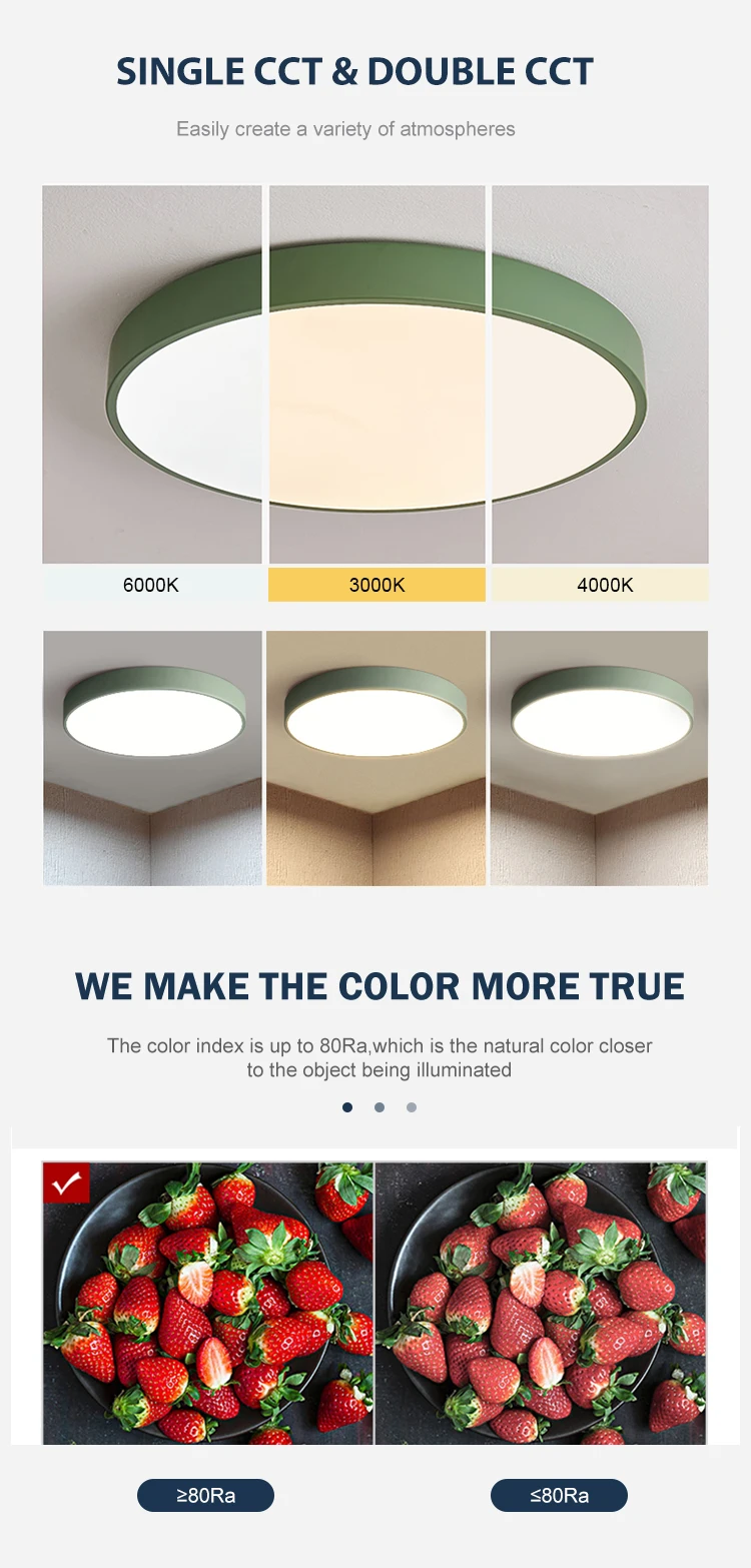 Ceiling light 8754  05.jpg