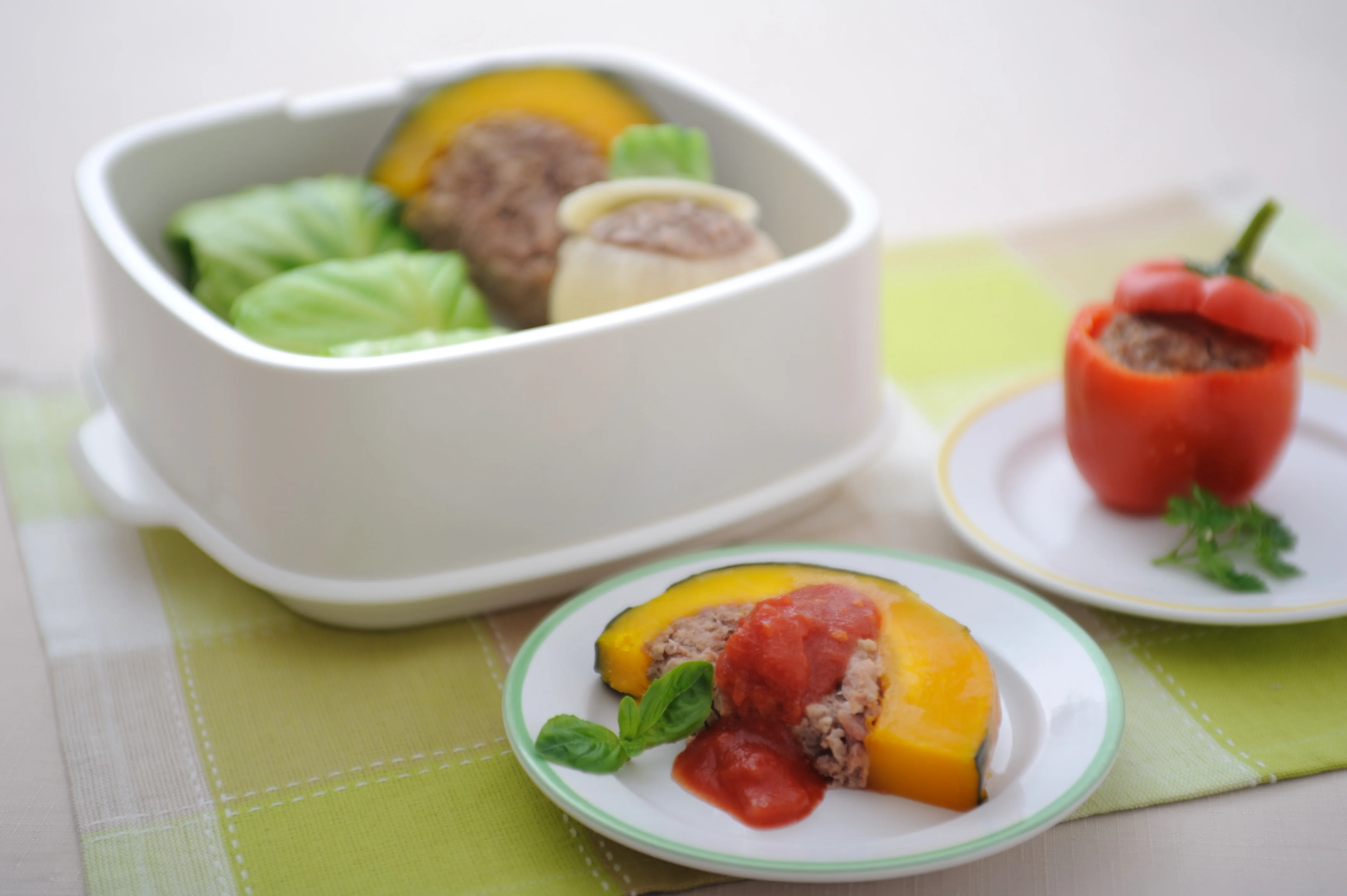 Japanese wholesale high quality microwave egg electric food steamer