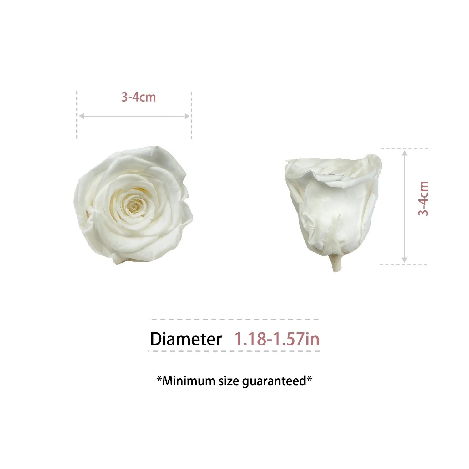 UKIQUEEN Wholesale 3-4CM Grade-A Preserved Roses Head Immortal Eternal Roses Real Forever Roses Preservada Eternelle Rosas