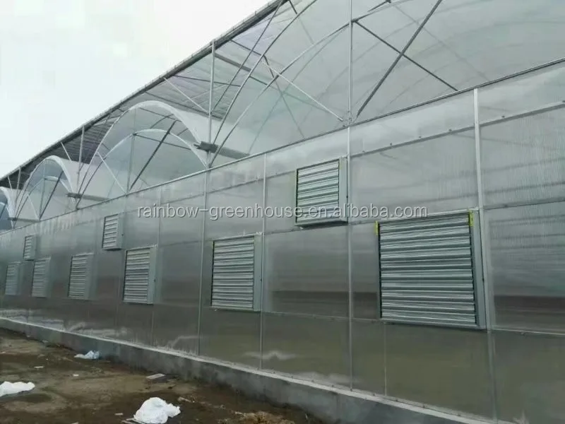 China Hydroponics greenhouse aquaponics greenhouse for tomato lettuce mango strawberry culture