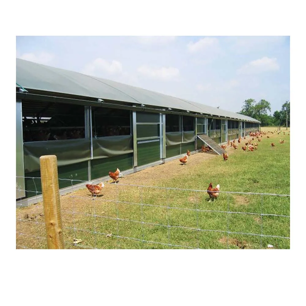 Ready made steel structure chicken farm business plan long span chicken poultry farm in kenya