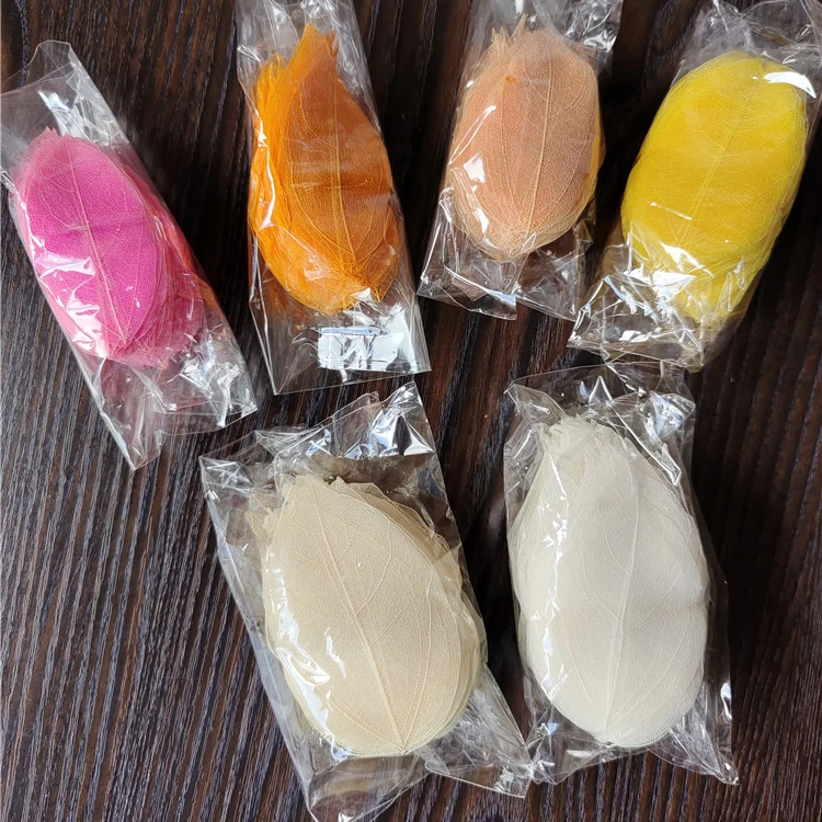 wholesale decorative flower 100 pcs dry leaf vein real natural tree leaves veins for flower arrangement gift decoration