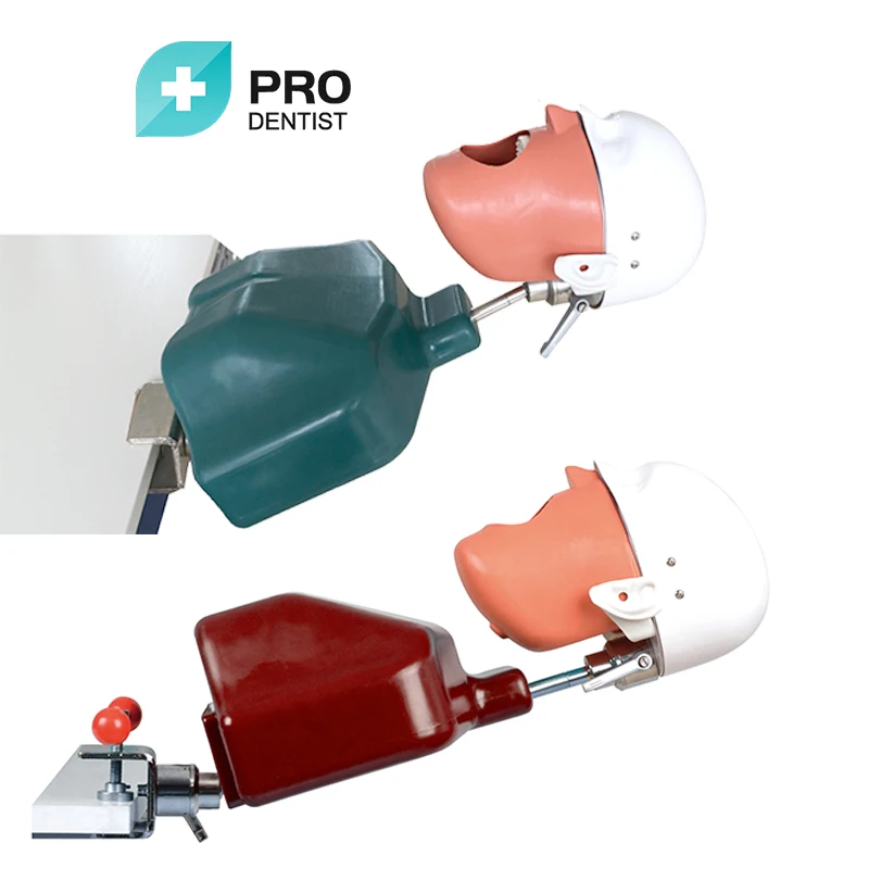 manikin phantom head for training practice for school oral dental phantom head dental simulator
