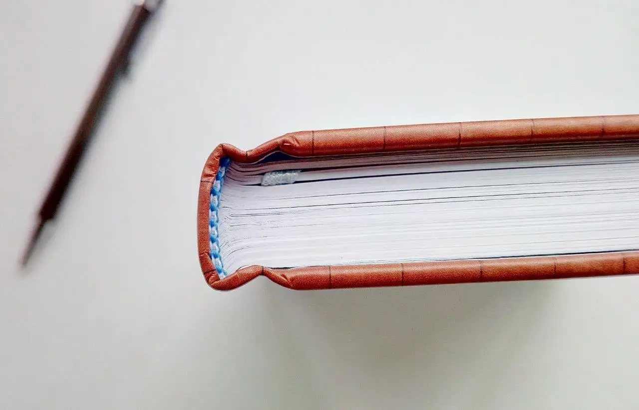 Custom Offset Printing Recycled Children School Educational Photo Book Coloring Story Book