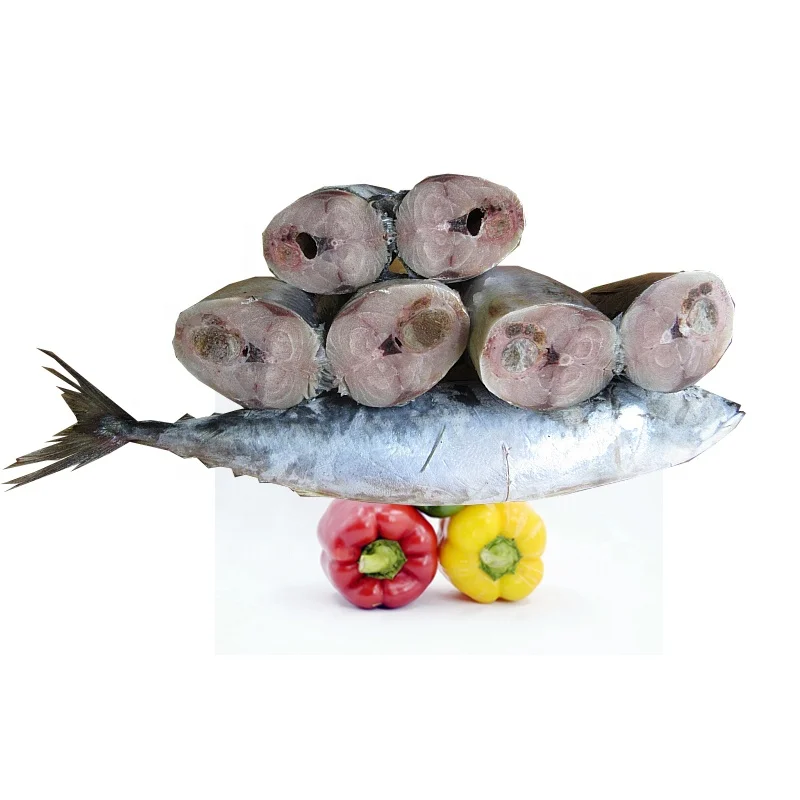 Best frozen HGT pacific mackerel fish with cheap price