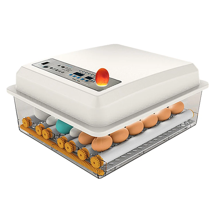 Electric Chicken And Duck Egg Incubator Commercial Incubators For Hatching Poultry Eggs