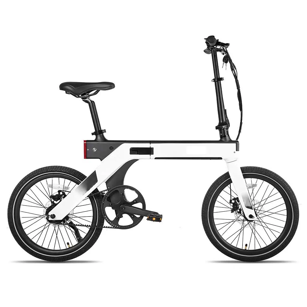 High quality 20 inch Lightweight Magnesium Folding Electric bicycle 250W  Foldable E bike with Carbon Belt 10Ah Hidden Battery