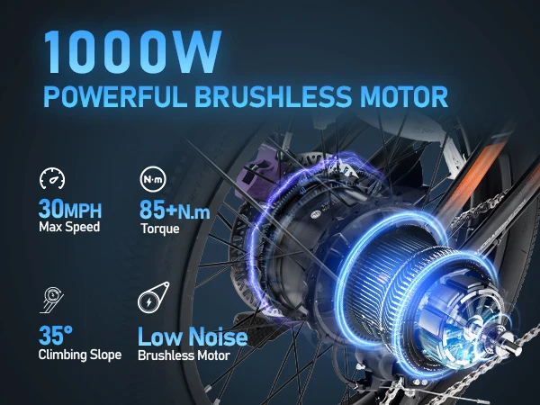 Eahora Cupid FOB China Electric Bike 1000W Electric City Bicycle 48V 30Ah Fat Tire Electric Mountain Bike electric cargo bike