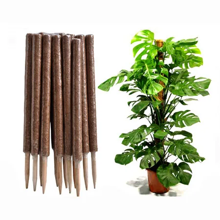 4 Pack 60 Cm Color 50cm Stick Grow Through Indoor Plant Support Wooden Stake Garden Plastic Moss Pole