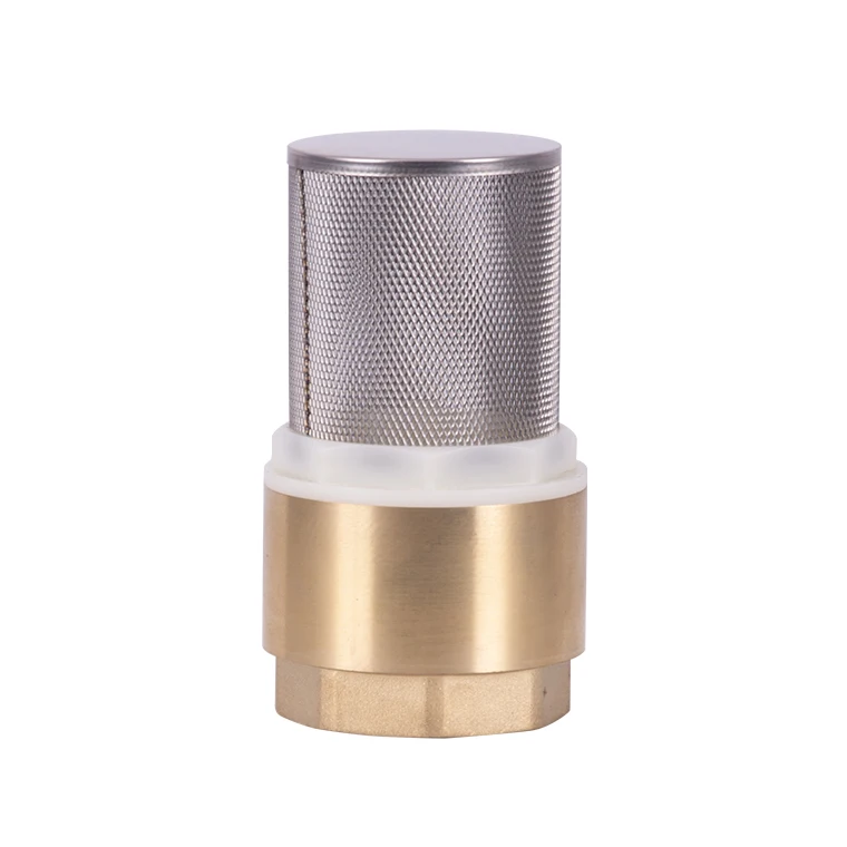 China Foot Valve non-return valve swing vertical lift foot ball spring check valve thread pressure