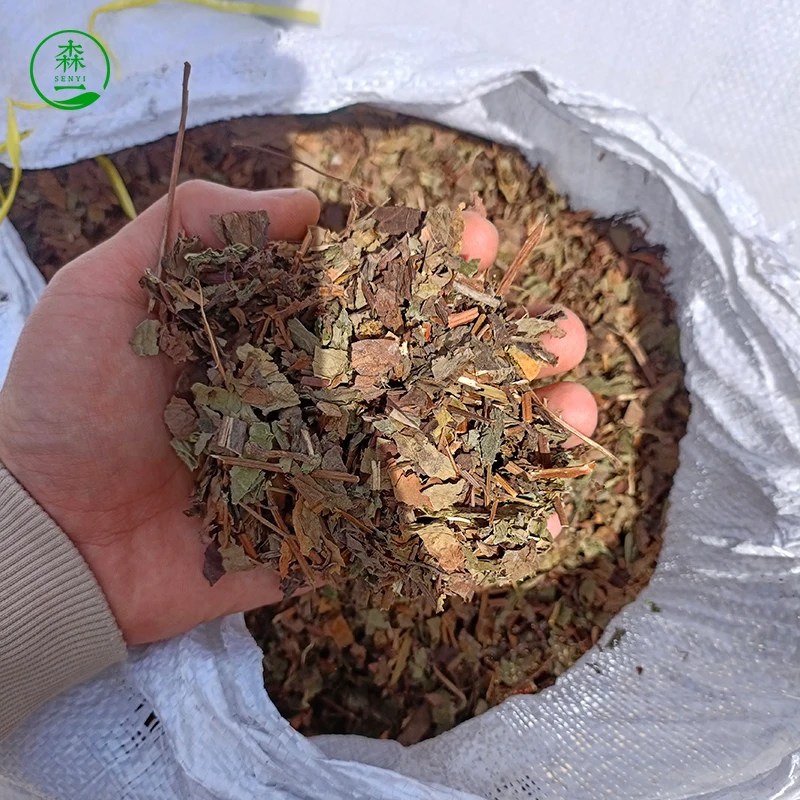 Houttuynia cordata Chinese herbal tea organic Houttuynia cordata extract powder