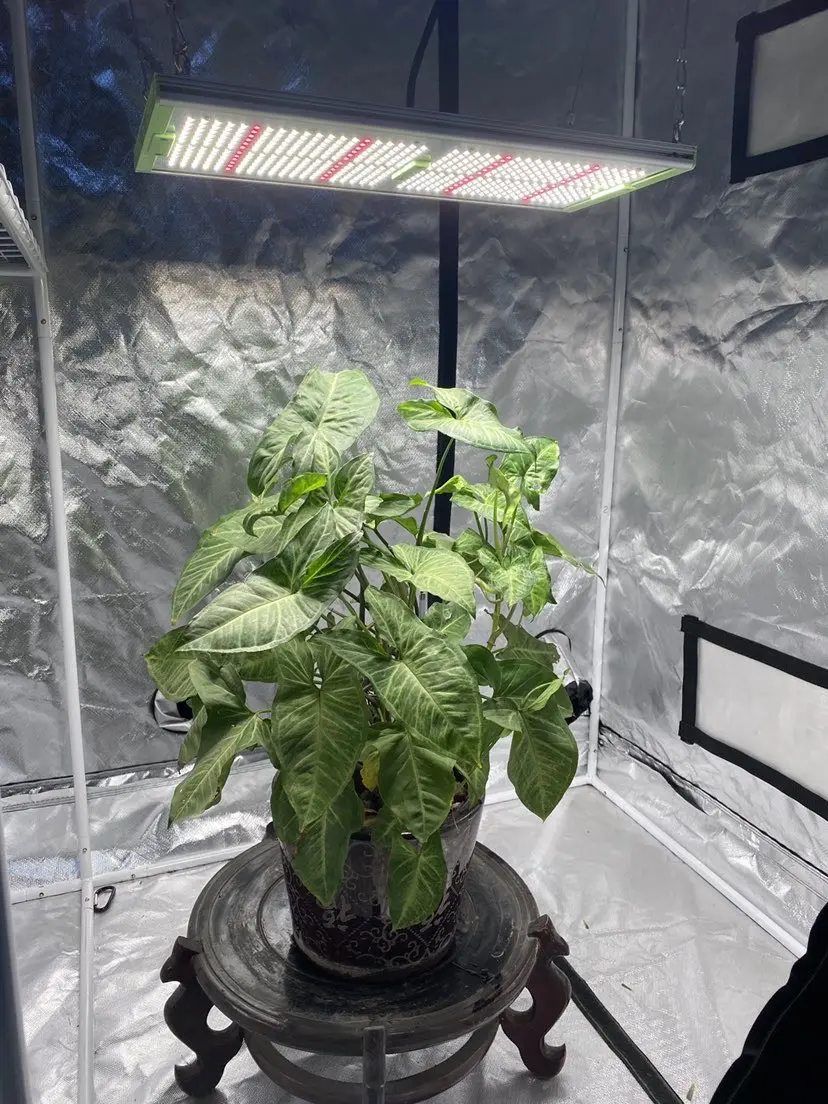 Aglare  240w lm301h full spectrum led aquarium light with  3500k indoor led plant grow lamp