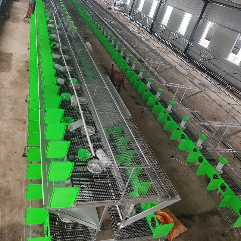 Factory Supply Rabbit Cage for Sale/Poultry Farming Equipment