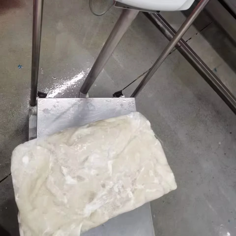 Giant squid piece and bit squid meat fresh squid for sale