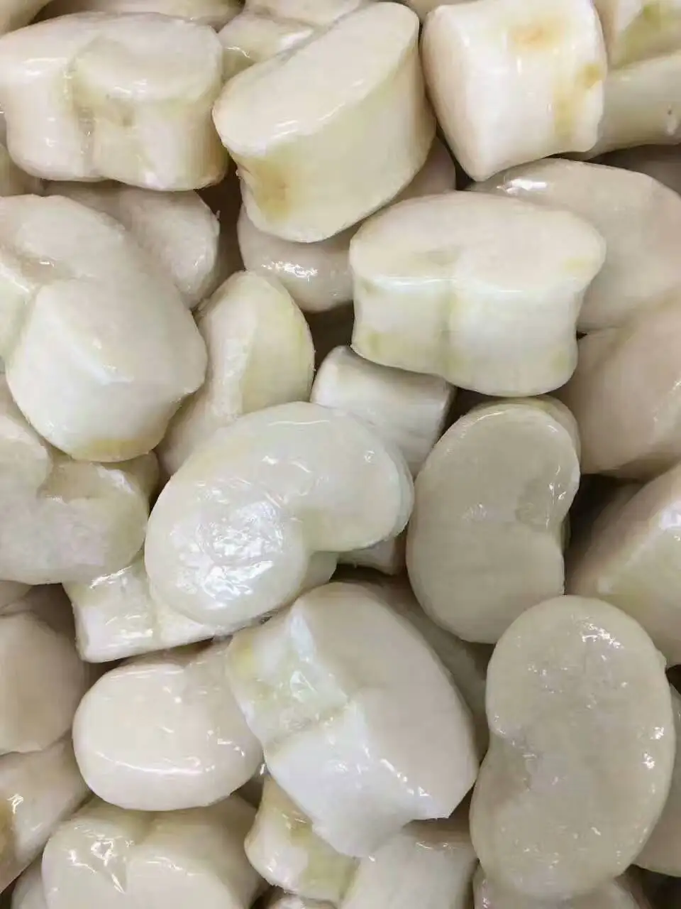 best seafood and dried scallop