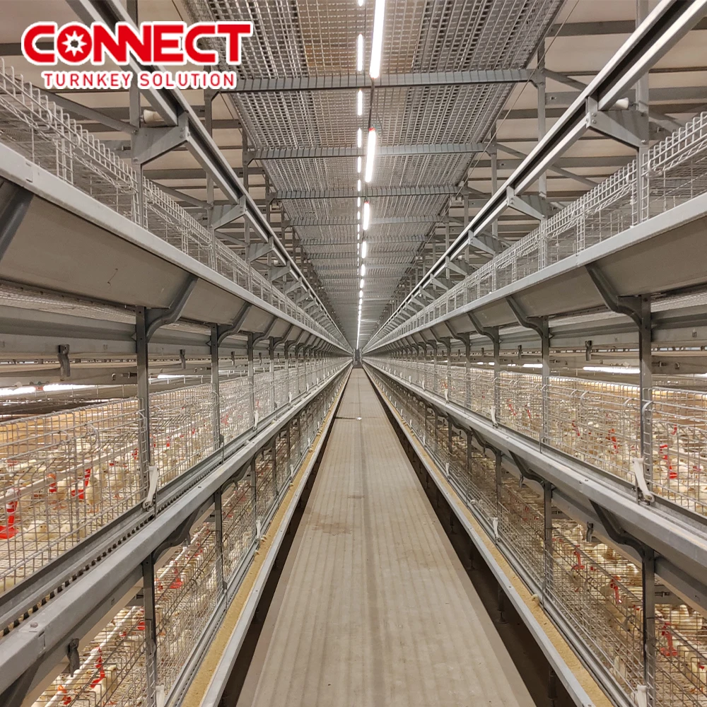 Complete Automatic Poultry Husbandry Equipment H Type Feeding House Manual Poultry Metal Broiler Raising Chicken Cage For Chicks