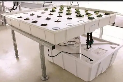 BPA free ABS plastic white flood tray table with reservoirs system 3x6 flood table