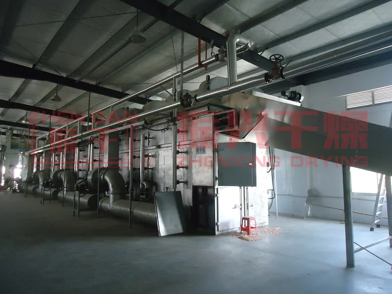 DWT Series Seaweed Waste Dehydrated Vegetable belt dryer  Production Line