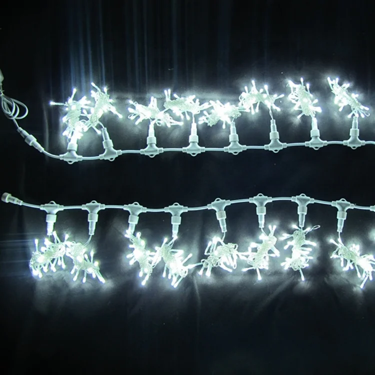 
Holiday waterproof mini decorative led string light 5mm quality outdoor house Christmas lights rainbow x100 strobe 