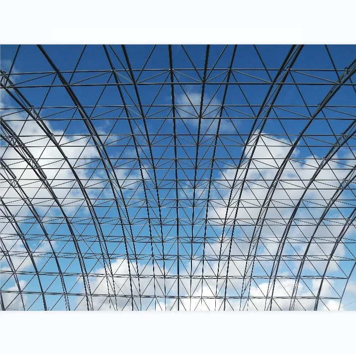 LF-BJMB Prefab space frame dome roof construction systems dry coal storage shed for sale