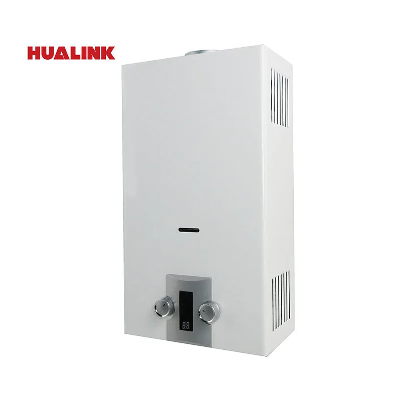 China Golden Supplier Wholesale Price NG LPG Instant Gas Geyser 10L  Tankless Gas Water Heater