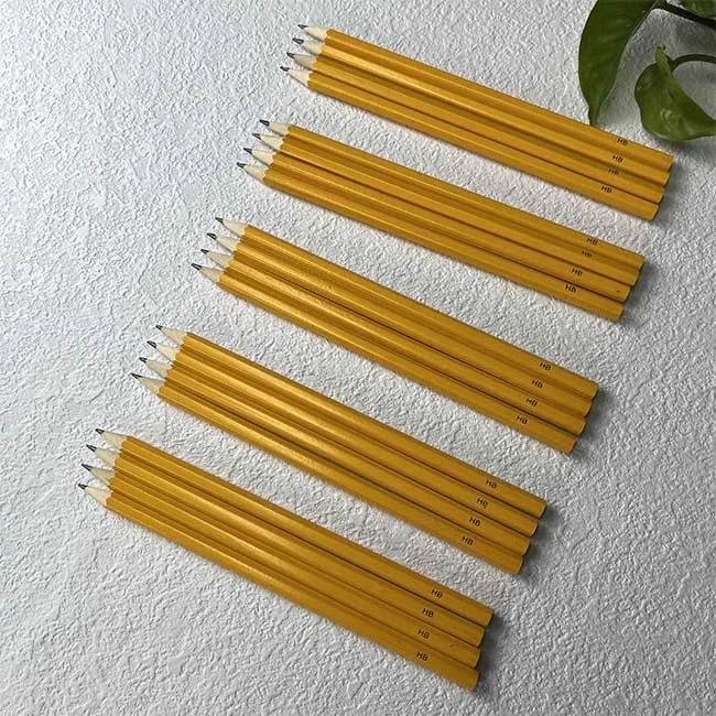 Customized Sprout Colour Pencils Forget me not Made from Certified Wood Plantable Pencil
