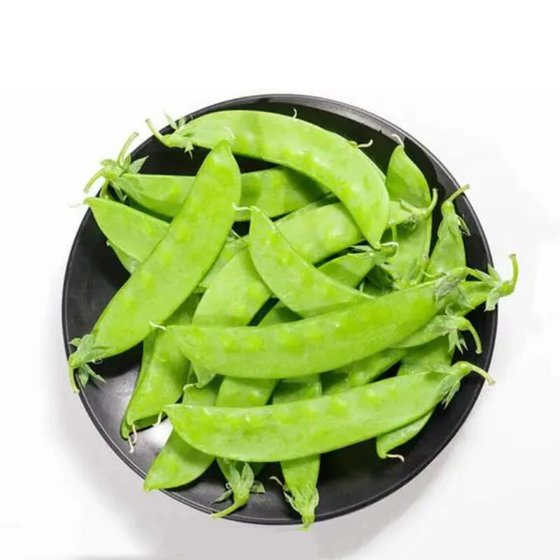 One stop vegetable export snow pea from China