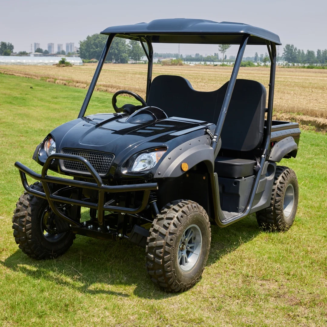 Прямая продажа с завода Электрический дешевый UTV