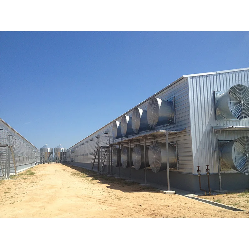 Steel Structure Building Chicken Shed Poultry House Cattle Pig Sheep  Farms Full-automatic Steel Structure