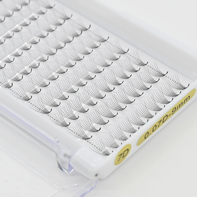 High Quality 3d 4d 5d 6d 7d 8d 9d 10d 0.07 D Curl Korean Pbt Wholesale OEM Eyelash Dark Black Premade Volume Lash Extensions