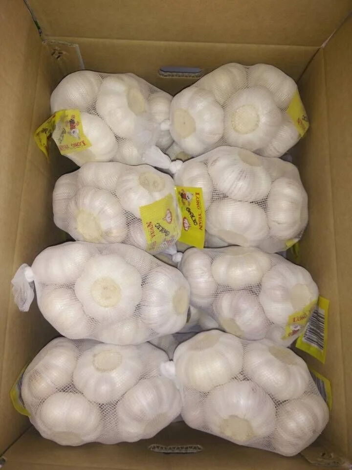 
Low cost and best selling fresh dry normal white garlic and red garlic from chinese vendor 