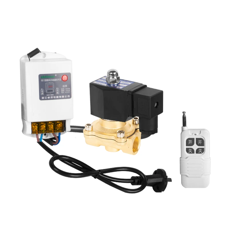 DN15 brass remote control timing solenoid valve AC220V normally closed intelligent solenoid valve is used for outdoor watering