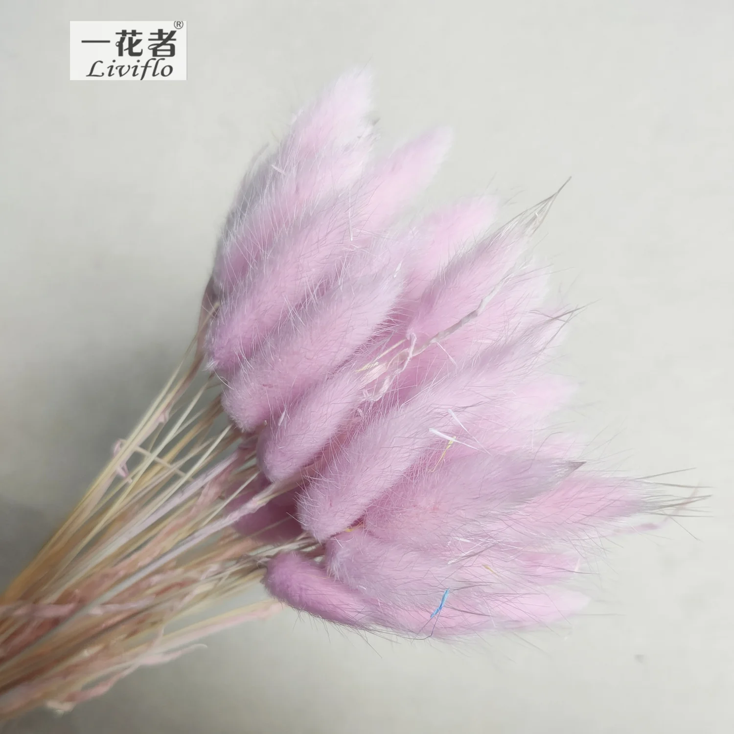 Material Dried Flowers Rabbit Tail Grass Bouquets Opp Bag Christmas Decorative Flowers & Wreaths Long Lasting 50 Sticks / Bunch