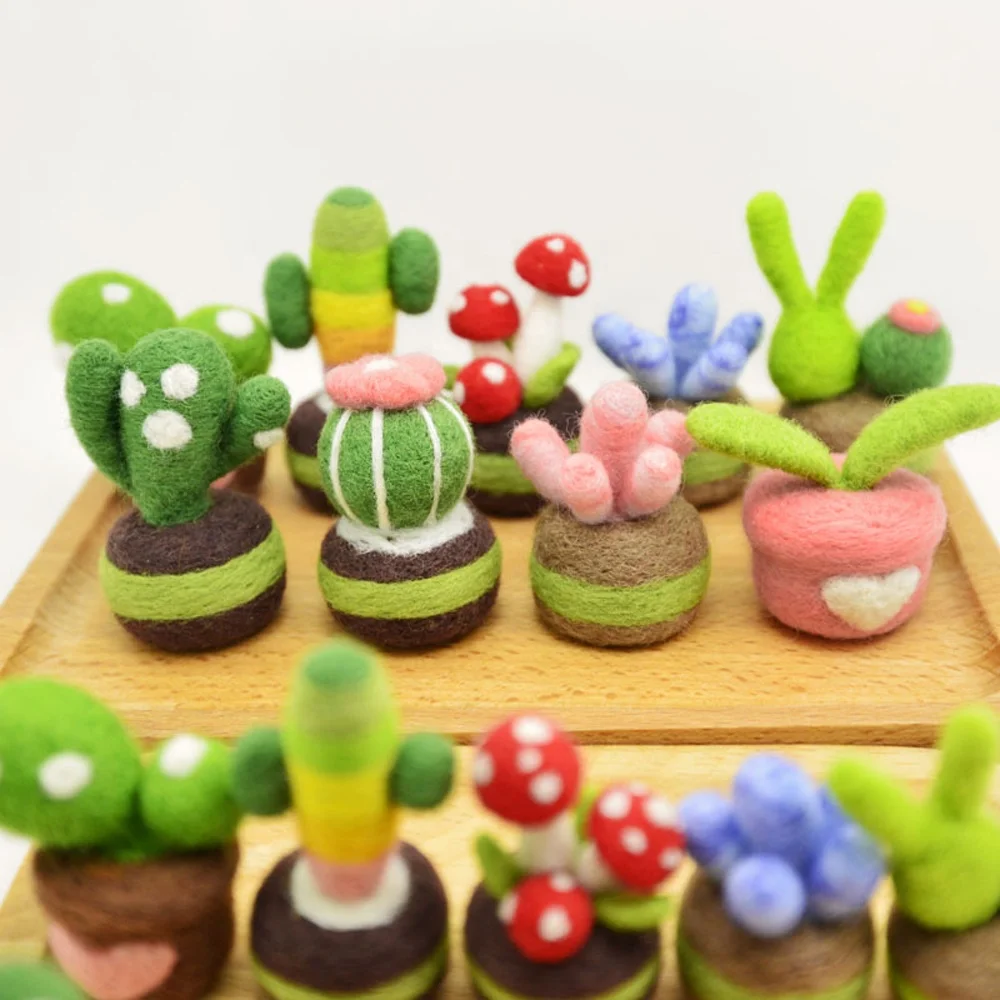 Custom Succulent Plants Needle Felting Beginner Kit DIY Felt Crafts Manufacturer Factory Private Label Logo OEM ODM Service