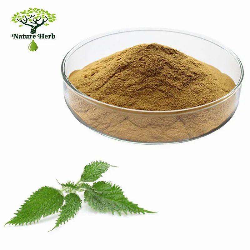 organic morinda citrifolia extract