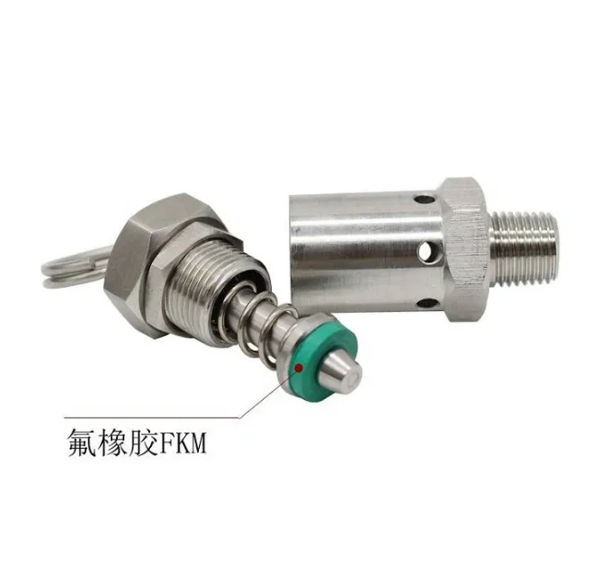 Custom stainless steel Valve Body Bleed Plug