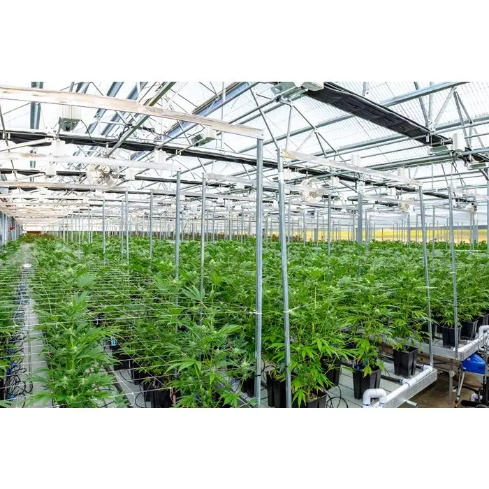 smart irrigation vertical hydroponic system agricultural farming Muti-span Venlo agriculture glass greenhouse