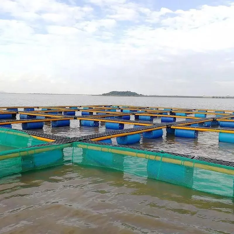 Aquaculture Fish Cage Floating Fish Farming Cage 10 Years Service Life HDPE Fish Trap