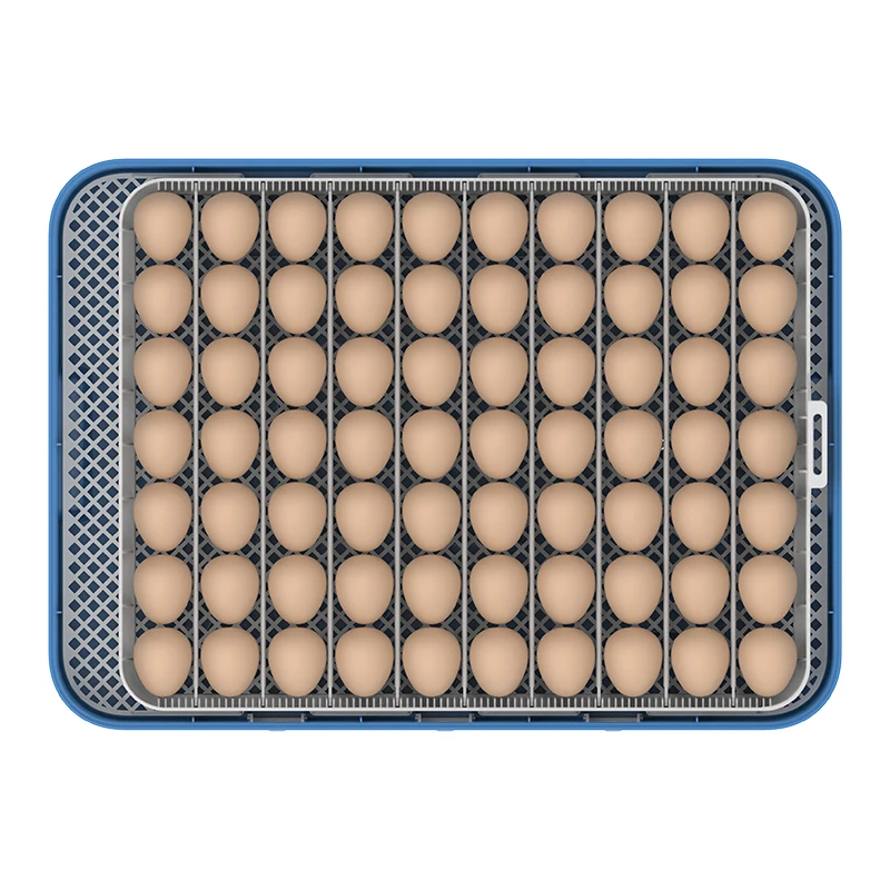 CE Certificated WONEGG 2024 Design 70 Eggs Incubator Dual Power Supply Automatically Stop Turning Eggs During Hatching PEriod