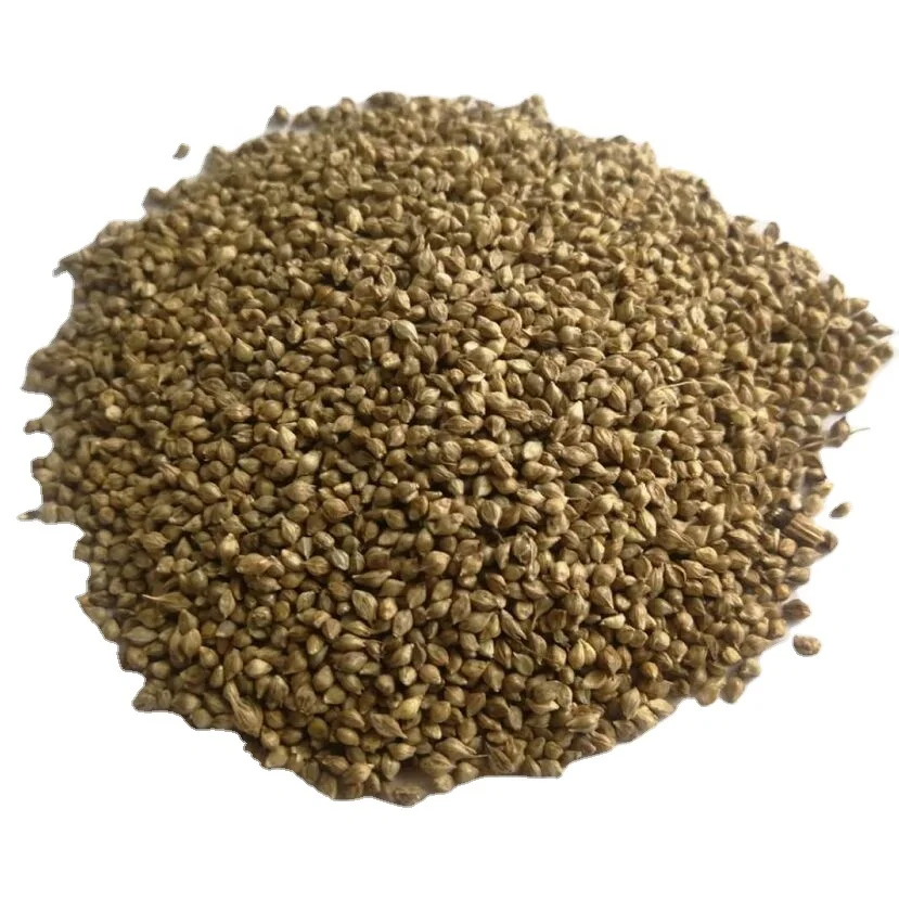 
 Тарированные Семена/пса/семена травы  