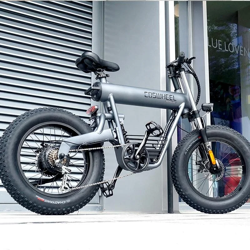 Professional Factory Mountain Bike Motorcycle With Battery Included Electric Bicycle For Adult