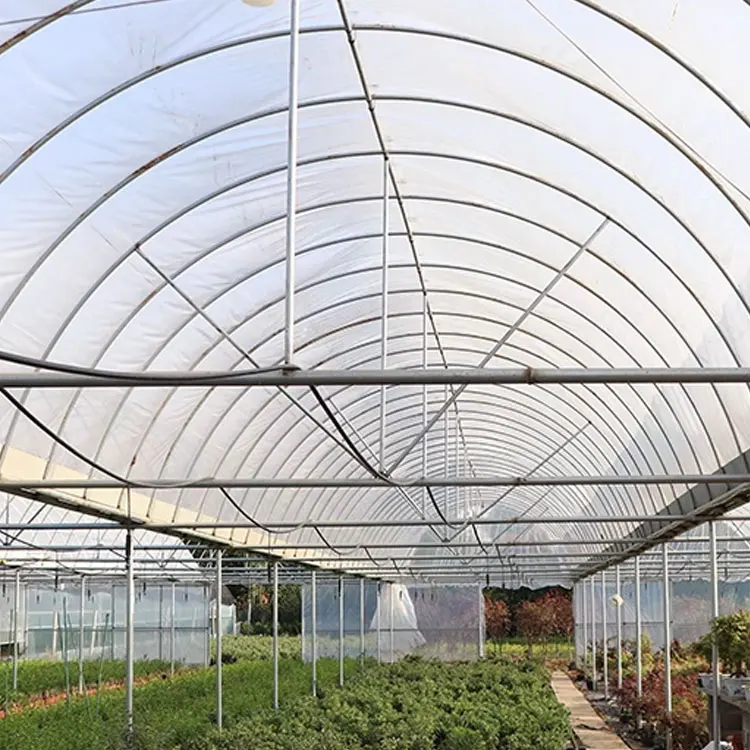 Hot Selling Product Custom Durable Wholesale White Transparent Anti-Greenhouse Film Greenhouse Film