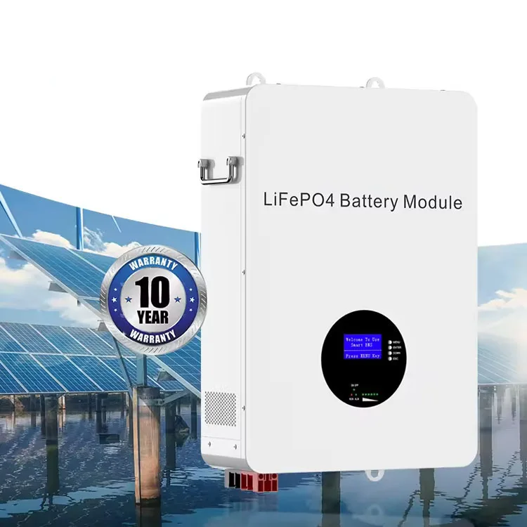 Главная Солнечная система хранения энергии Аккумуляторы 100Ah 51.2V 48V Power Wall Mounted Lithium Lifepo4 Battery
