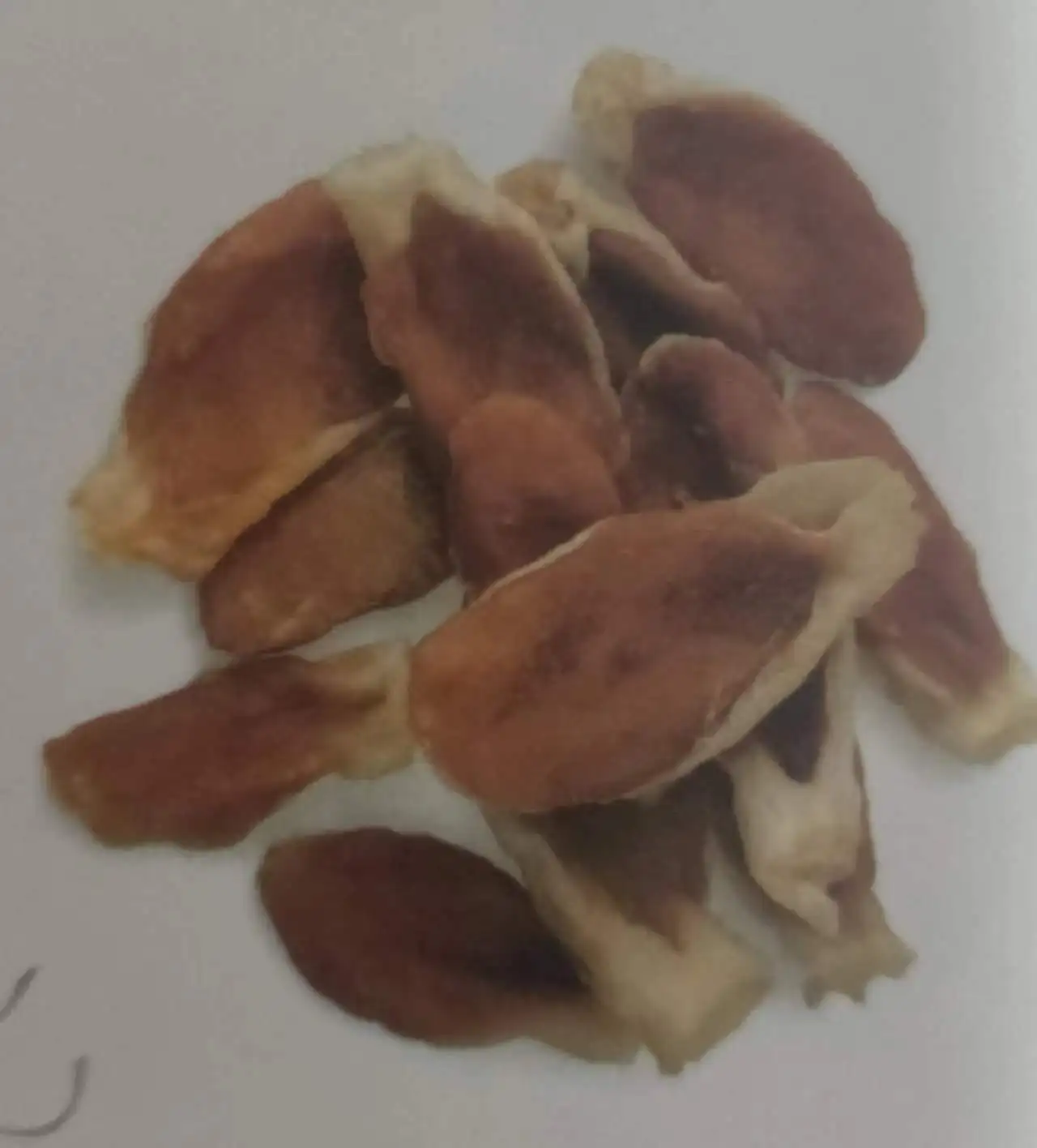 Ухо кролика с курицей